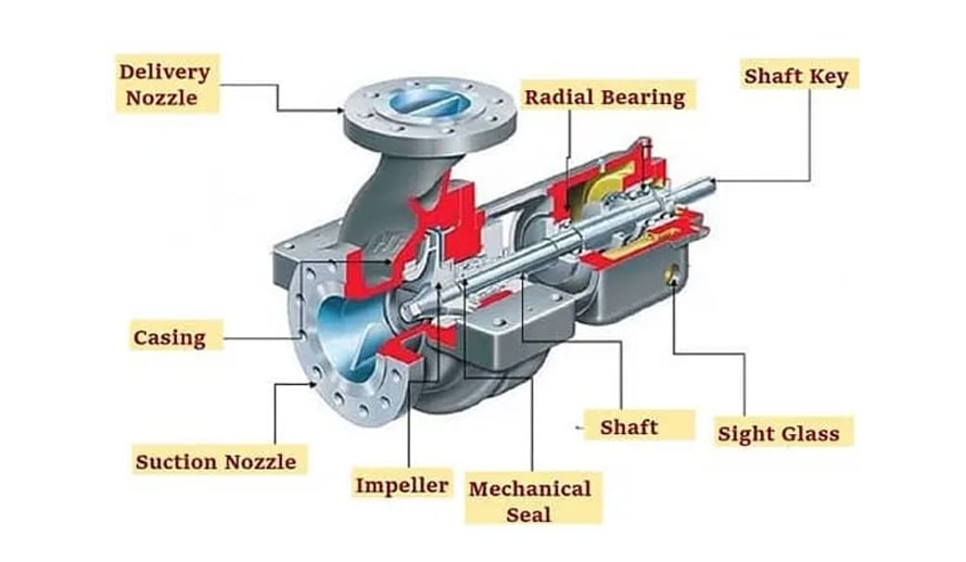 پمپ کله کوزه ای چیست